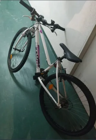 Bicicleta Blanca de Montaña