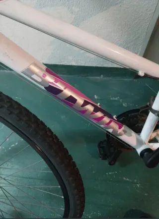 Bicicleta Blanca de Montaña