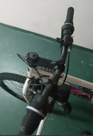 Bicicleta Blanca de Montaña