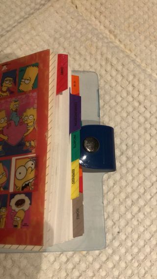 Organizer Bart Simpson