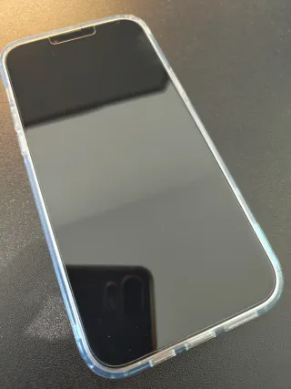 iPhone 13 Pro Max 256 GB Argento