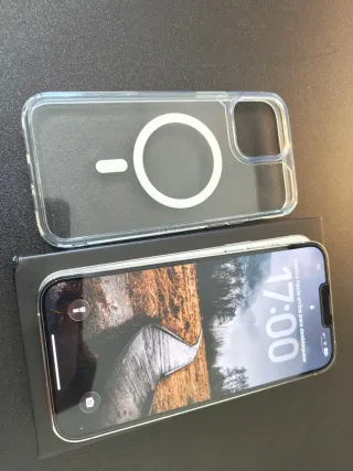 iPhone 13 Pro Max 256 GB Argento