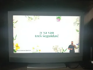 Televisión Sony gris sin TDT