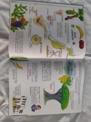 Libro ¿Conoces tu país?