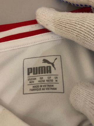 Camiseta Austria Puma 2018/19 2ª Equipación