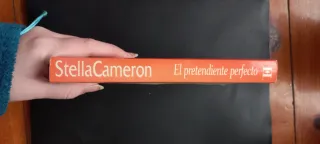 El pretendiente perfecto