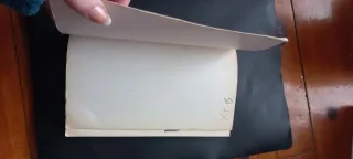 El pretendiente perfecto