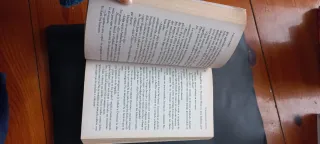 El pretendiente perfecto