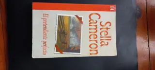 El pretendiente perfecto