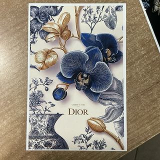 Lotto 5 stampe Dior 10x15cm