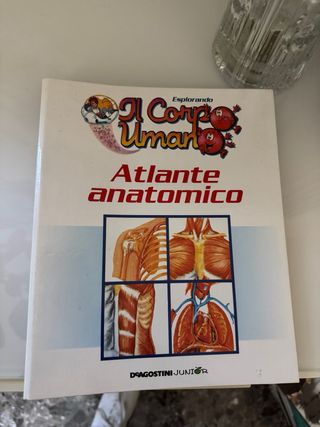 Esplorando il corpo umano