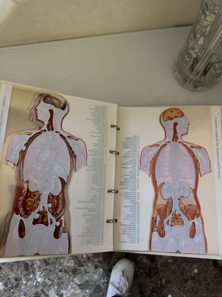 Esplorando il corpo umano