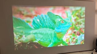 Proyector Optoma HD141X Negro