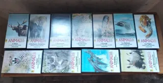 51 Videocassette Documentario Animali