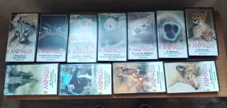 51 Videocassette Documentario Animali