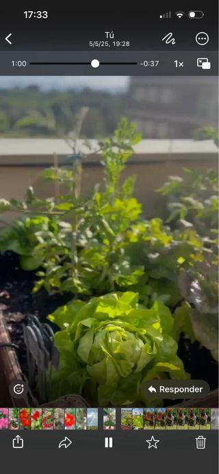 Mesa de cultivo Huerto Urbano de madera con ruedas