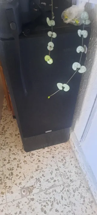 Altavoces Yamaha Negro