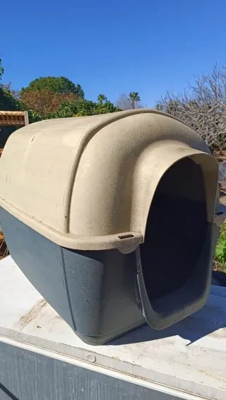 Caseta Perro Grande Beige/Azul