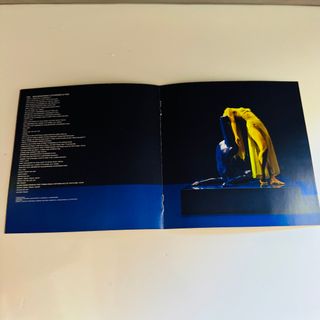 CD Agnes Beautiful Madness