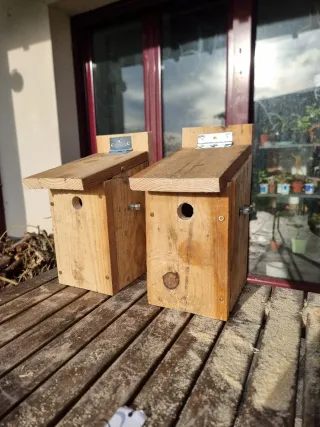 Caja Nido