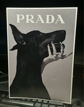 Stampa Prada Dobermann