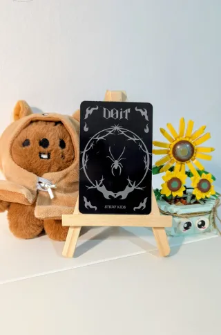 Photocard Stray Kids Felix Do It