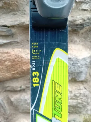 Esquís Fischer Worldcup GS