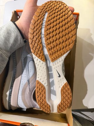 Nike Pegasus Premium Beige/Azul