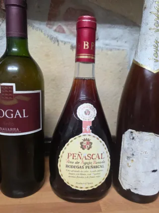 Set di Bottiglie di Vino per Decorazione