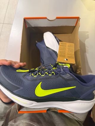 Nike Pegasus EasyOn Azul/Verde