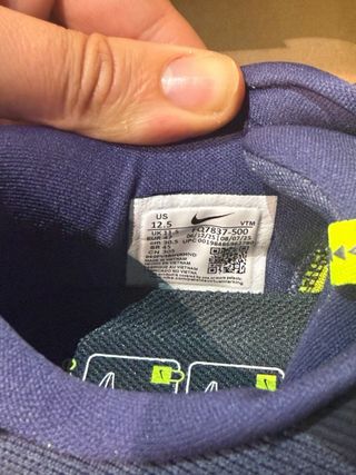 Nike Pegasus EasyOn Azul/Verde