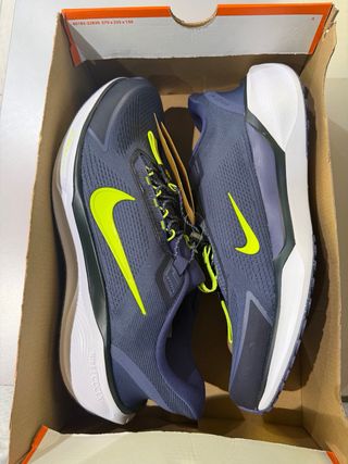 Nike Pegasus EasyOn Azul/Verde