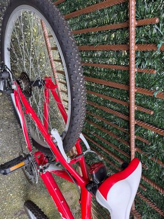 Bicicleta JLWenti 26” Roja