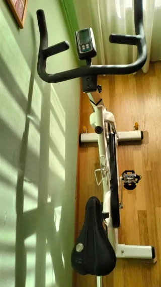 Bicicleta Estática Salter Indoor PT-0051