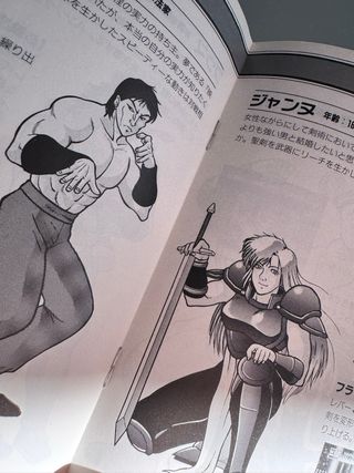 World Heroes SNK Neo Geo AES NeoGeo NG Jap