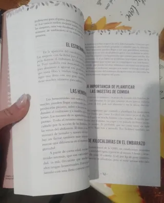 Libro 9 Meses Desde Dentro