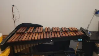 Xilofono professionale