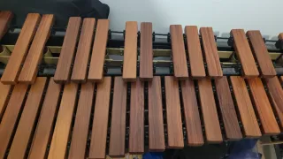 Xilofono professionale