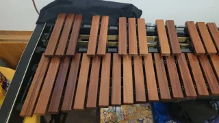 Xilofono professionale