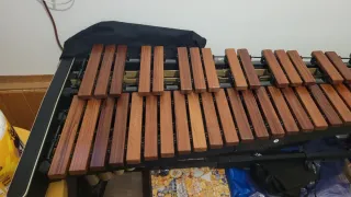 Xilofono professionale