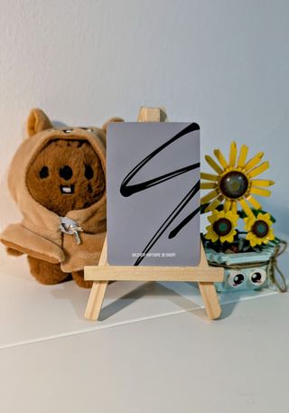 Stray Kids Photocard Bang Chan