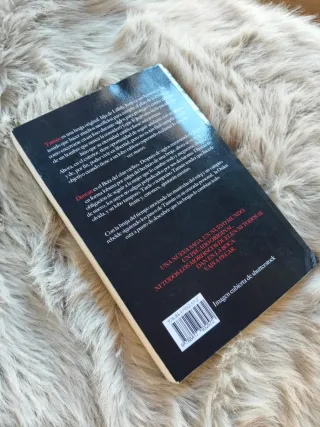 Cazadora de hadas (Wicked Trilogy) (Spanish Edi...