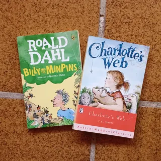 Lote de 8 libros infantiles y juveniles en inglés