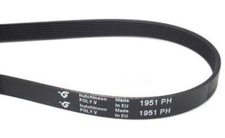 Correa Secadora 1951 PH