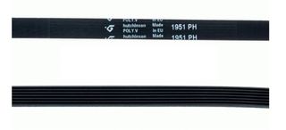 Correa Secadora 1951 PH