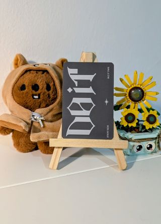 Stray Kids Photocard IN platform Do It