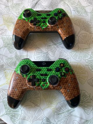 Mandos Nintendo Switch Minecraft