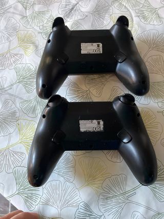 Mandos Nintendo Switch Minecraft