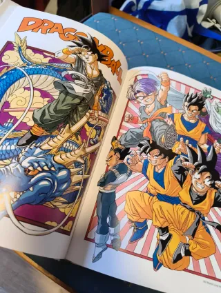 Dragon Ball: The Complete Illustrations
