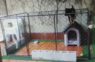 Caseta grande para perro